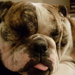 Meet your Posher, Sharleen